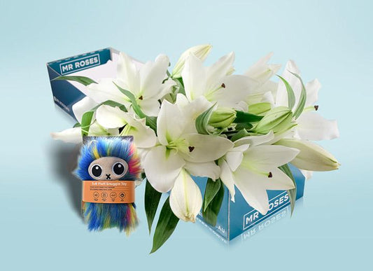 White Lilies & Dog Toy
