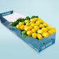 Long Stemmed Yellow Roses (12 - 36 Stems) & Teddy